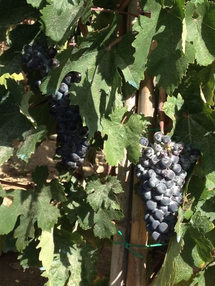 crossroads_hotel_tinos_16_34