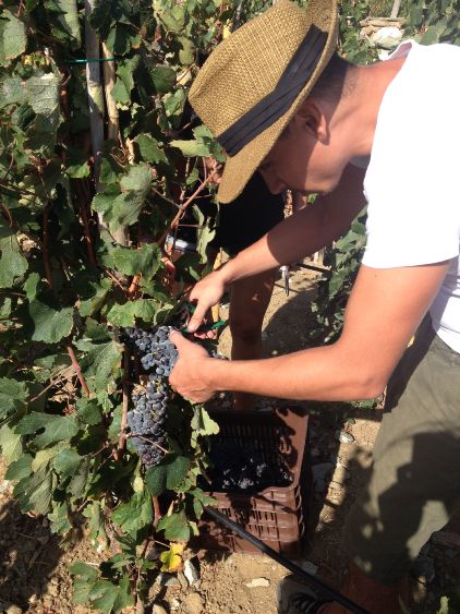 crossroads_hotel_tinos_16_33