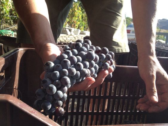 crossroads_hotel_tinos_16_32