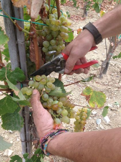 crossroads_hotel_tinos_16_31