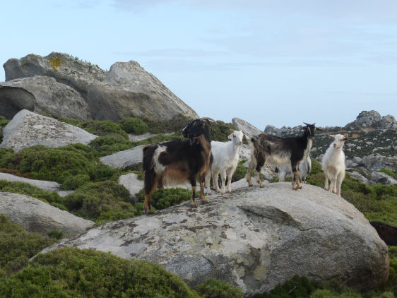 crossroads_hotel_tinos_121