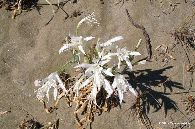 crossroads_hotel_tinos_156