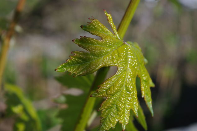 crossroads_hotel_tinos_155