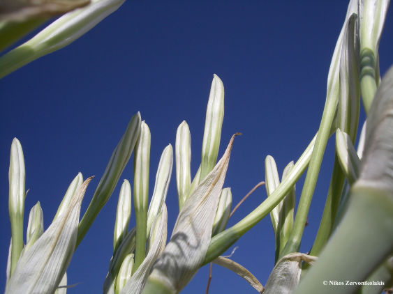 crossroads_hotel_tinos_154